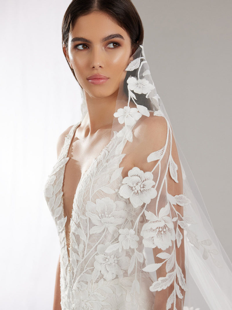 Pronovias jesy dress and veil