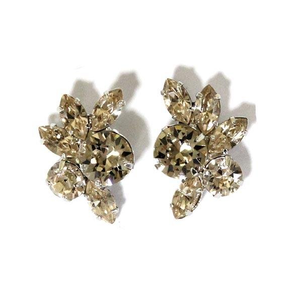 Earrings 12535