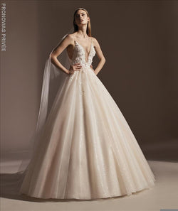 AGUSTINA Pronovias shimmering ball gown deep V-Neck 3d embroidery