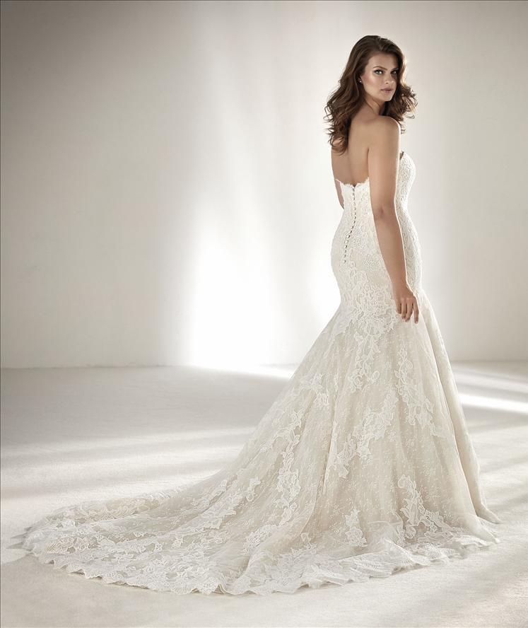 Druida Plus Pronovias 