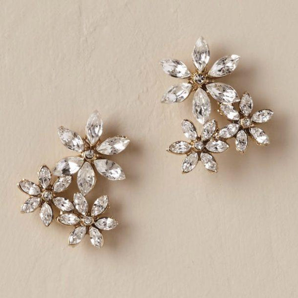 Earrings 1744