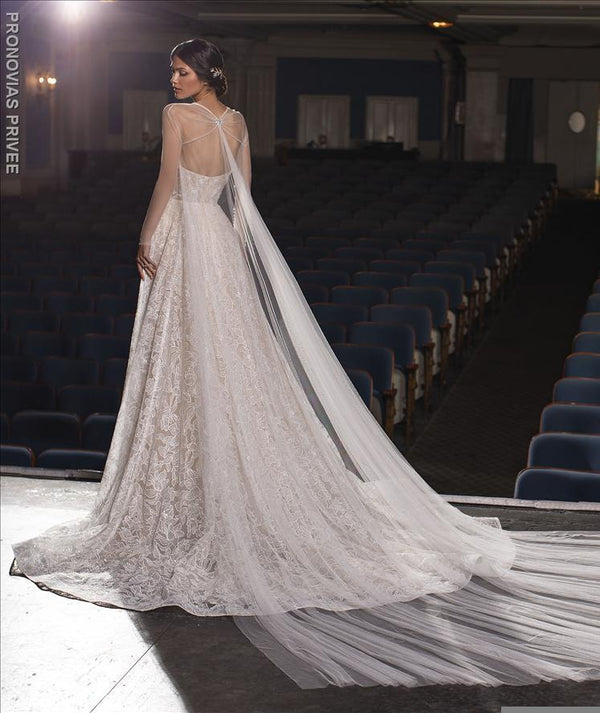 Pronovias Privee VELEZ -A-line wedding dress in embroidered tulle open back